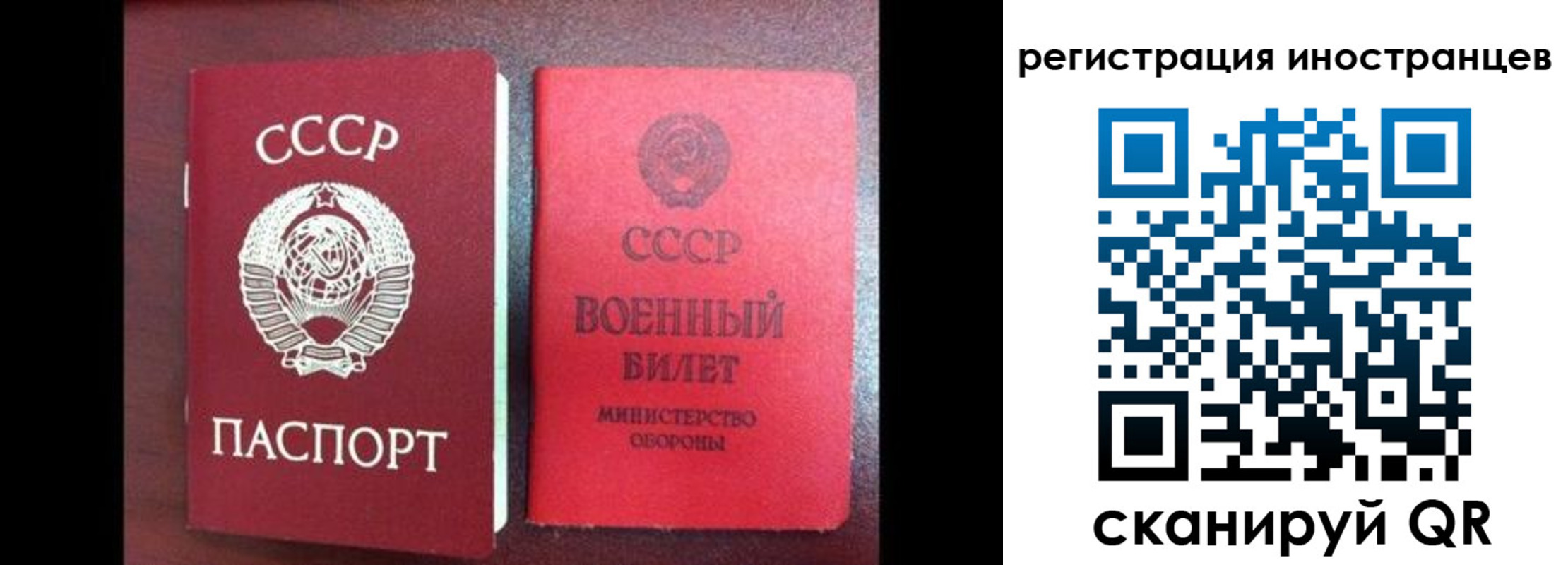 временная регистрация для всех в Александровске